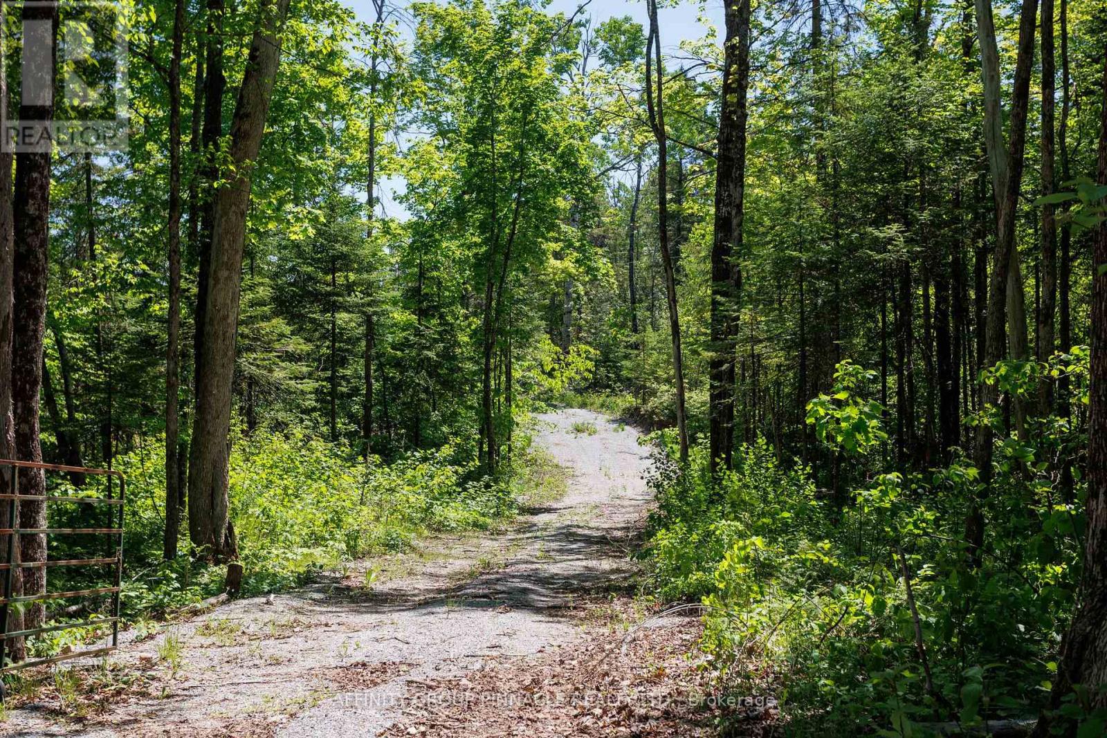 0 Pearce Road, Kawartha Lakes, Ontario  K0M 2B0 - Photo 36 - X13438626