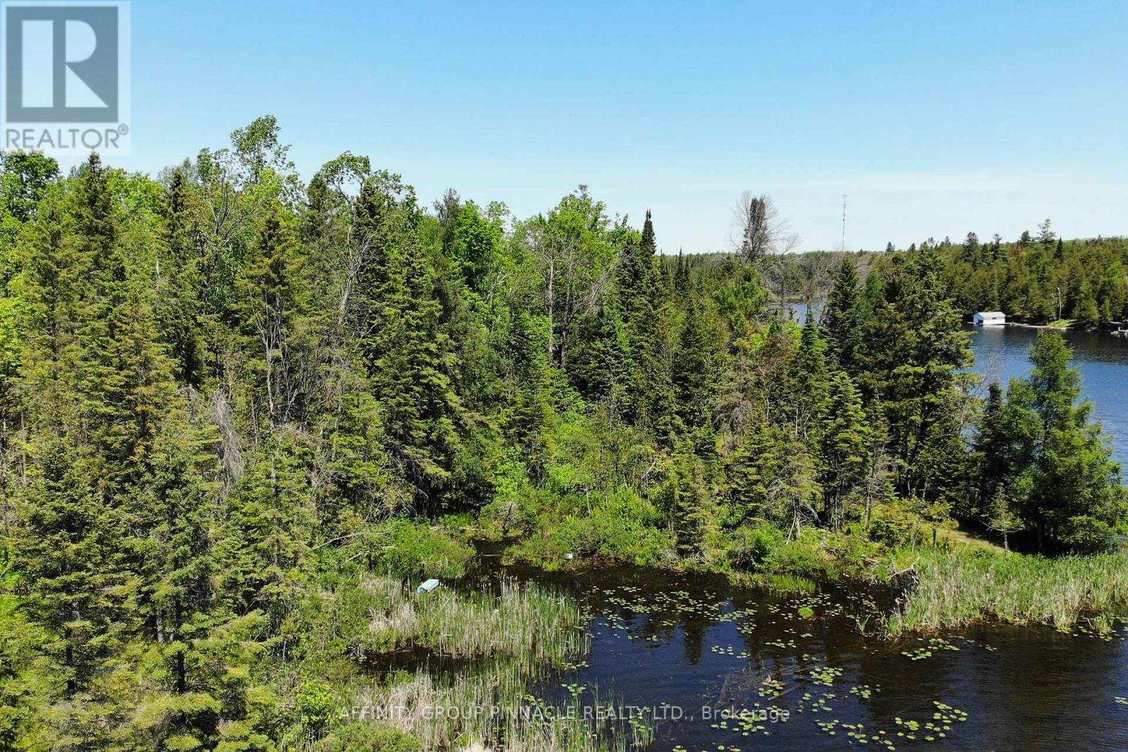 0 Pearce Road, Kawartha Lakes, Ontario  K0M 2B0 - Photo 22 - X13438626