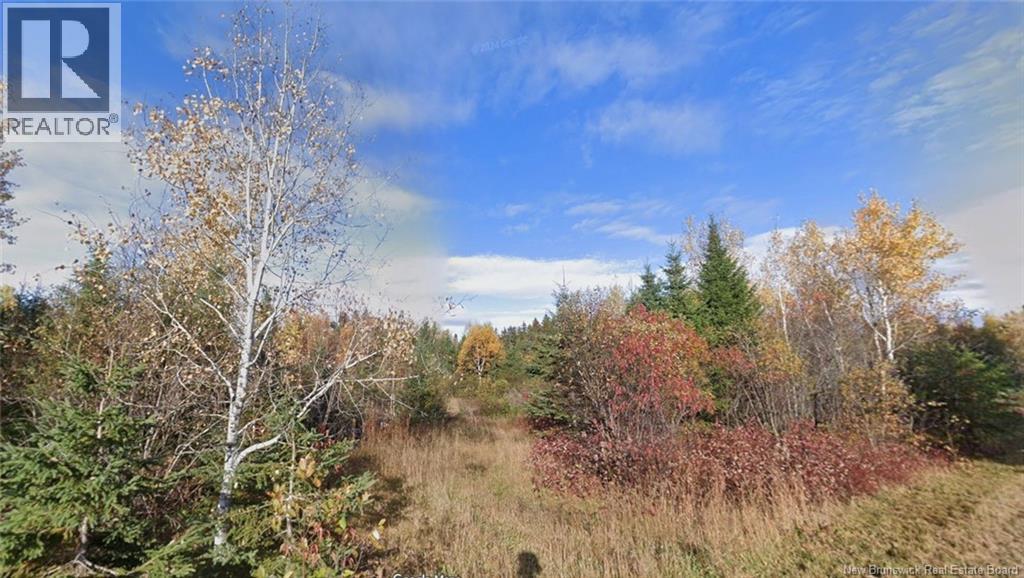 Lot Laurenzo Huard Street, Saint-Jean-Baptiste-De-Restigouche, New Brunswick