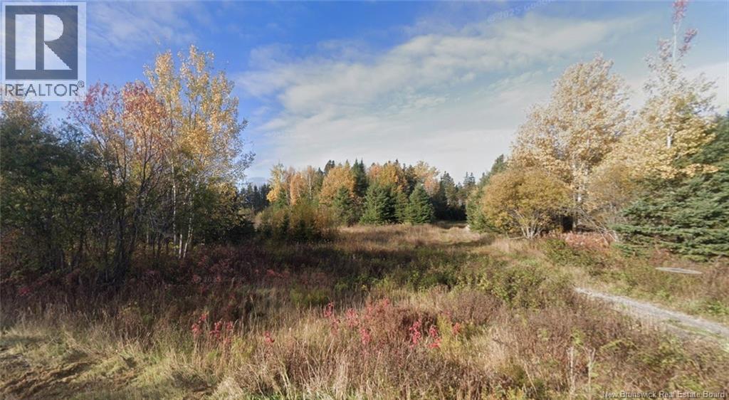 Lot Laurenzo Huard Street, Saint-Jean-Baptiste-De-Restigouche, New Brunswick  E8B 1Y6 - Photo 2 - NB141723