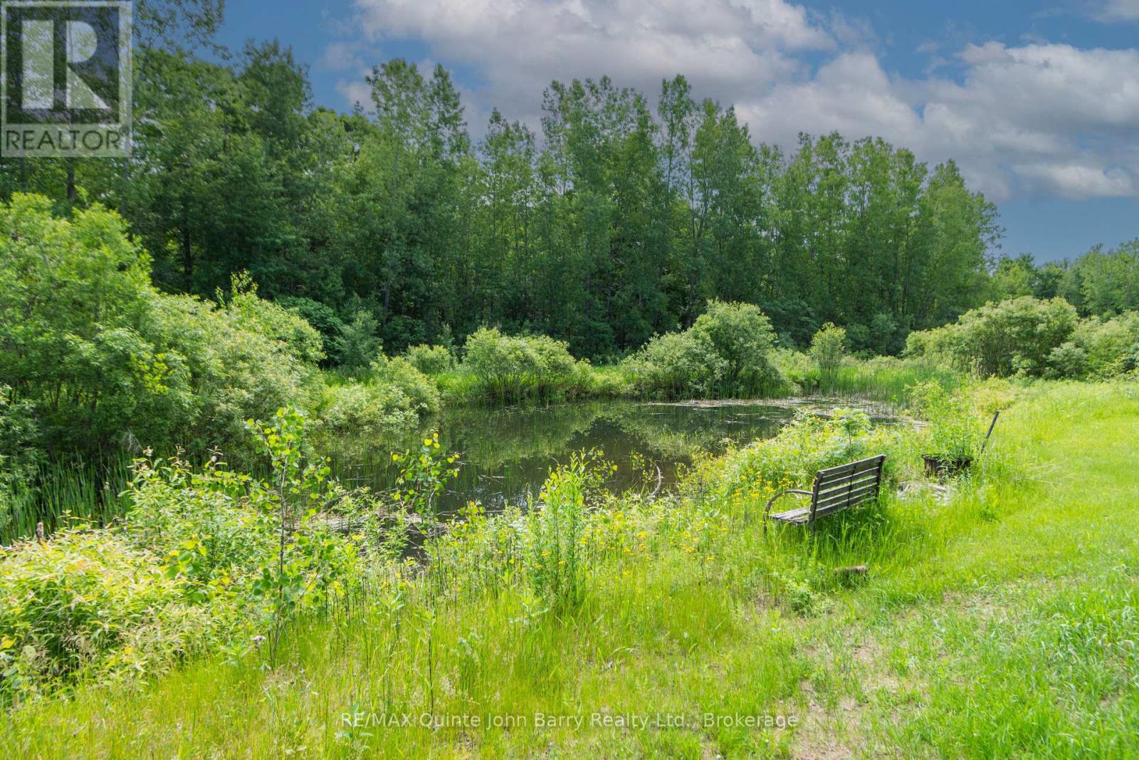 342 Christiani Road, Quinte West, Ontario  K0K 1H0 - Photo 40 - X13444974
