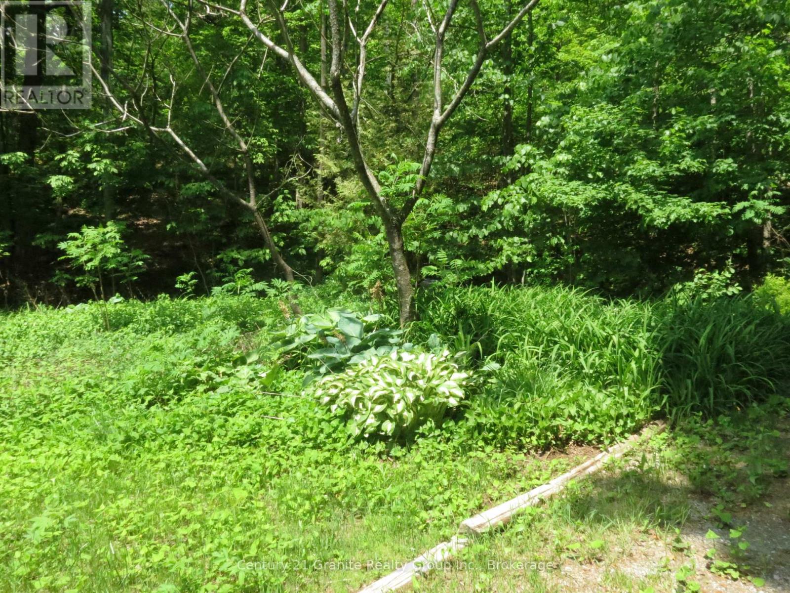 245 Fr 330, Trent Lakes, Ontario  K0M 1R0 - Photo 29 - X13444912