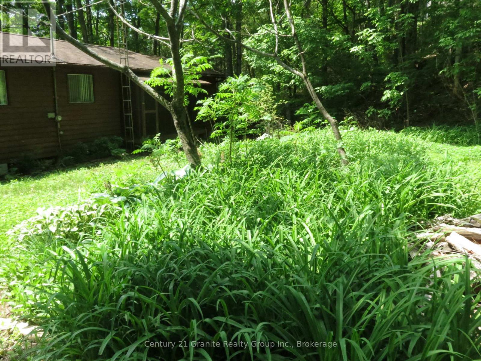 245 Fr 330, Trent Lakes, Ontario  K0M 1R0 - Photo 30 - X13444912