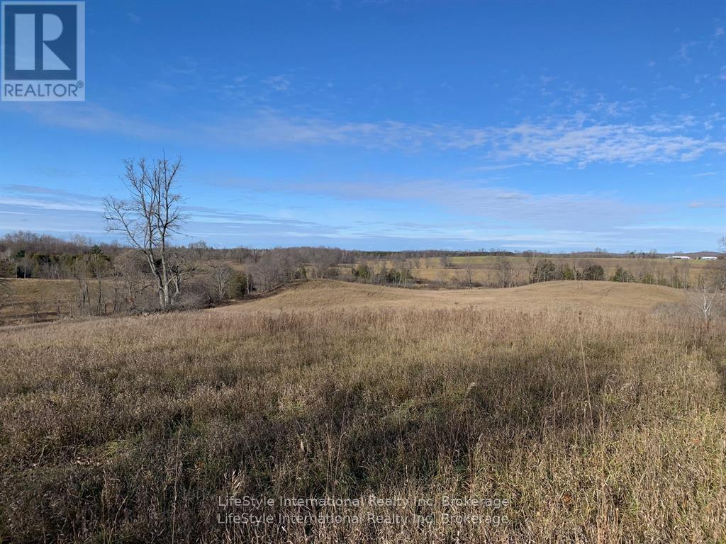 213 Vansickle Road, Havelock-Belmont-Methuen (Belmont-Methuen), Ontario  K0L 1Z0 - Photo 14 - X13445166