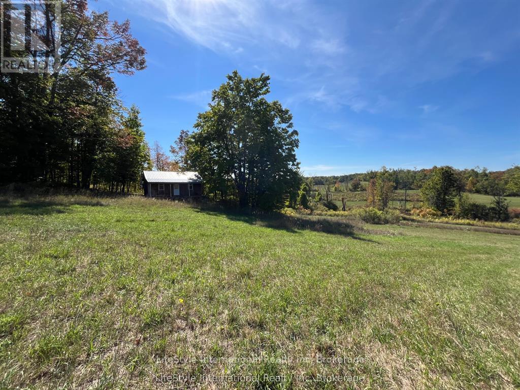 213 Vansickle Road, Havelock-Belmont-Methuen (Belmont-Methuen), Ontario  K0L 1Z0 - Photo 17 - X13445166