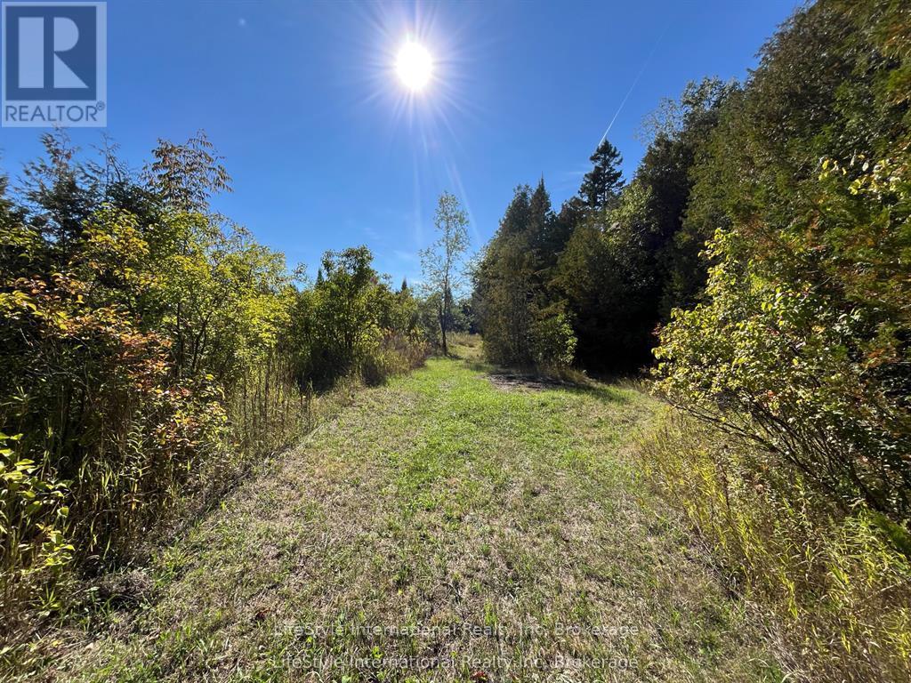 213 Vansickle Road, Havelock-Belmont-Methuen (Belmont-Methuen), Ontario  K0L 1Z0 - Photo 3 - X13445166
