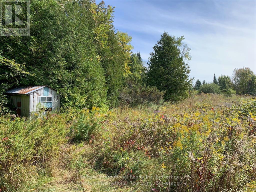 213 Vansickle Road, Havelock-Belmont-Methuen (Belmont-Methuen), Ontario  K0L 1Z0 - Photo 5 - X13445166