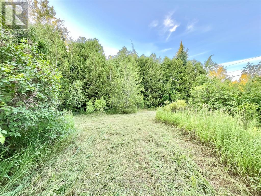 213 Vansickle Road, Havelock-Belmont-Methuen (Belmont-Methuen), Ontario  K0L 1Z0 - Photo 8 - X13445166
