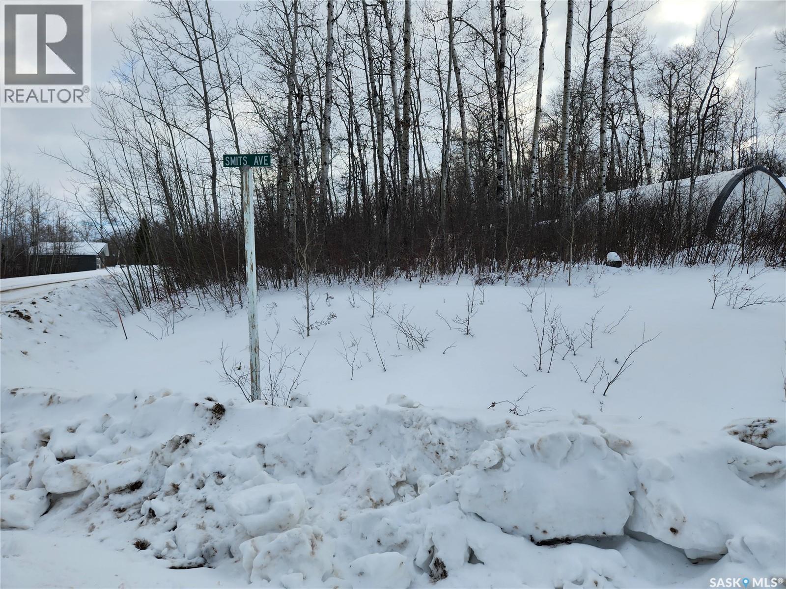 1 Smits Avenue, Nipawin Rm No. 487, Saskatchewan  S0E 0P0 - Photo 10 - SK027891