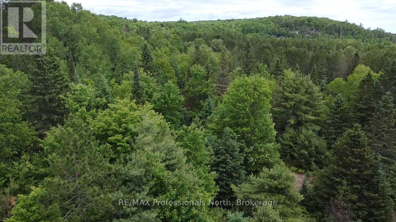 1325 Williamsport Road N, Huntsville, Ontario P1H 2J4 - Photo 11 - X13442038