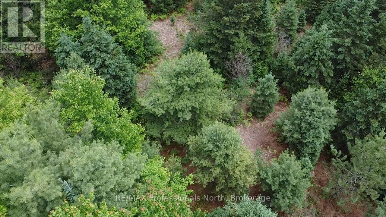 1325 Williamsport Road N, Huntsville, Ontario P1H 2J4 - Photo 15 - X13442038
