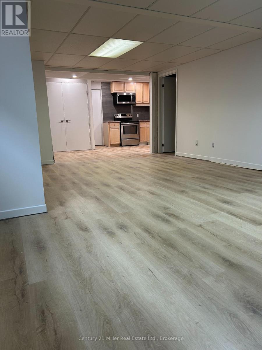 Basement - 1262 Nathaniel Crescent, Burlington, Ontario L7S 2B1 - Photo 3 - W13445430