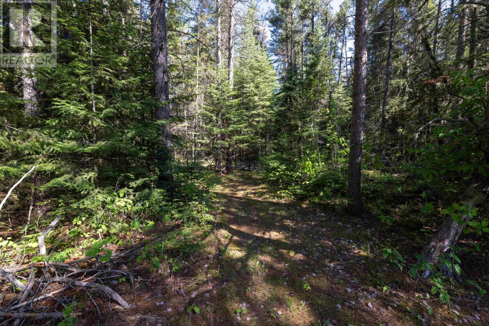 4508 Highway 11-17, Kakabeka Falls, Ontario  P7K 0J1 - Photo 37 - TB2601501