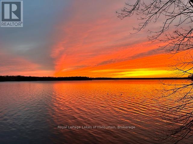 83 Sunset Beach Road, Kawartha Lakes (Laxton/digby/longford), Ontario  K0M 2B0 - Photo 44 - X13445346