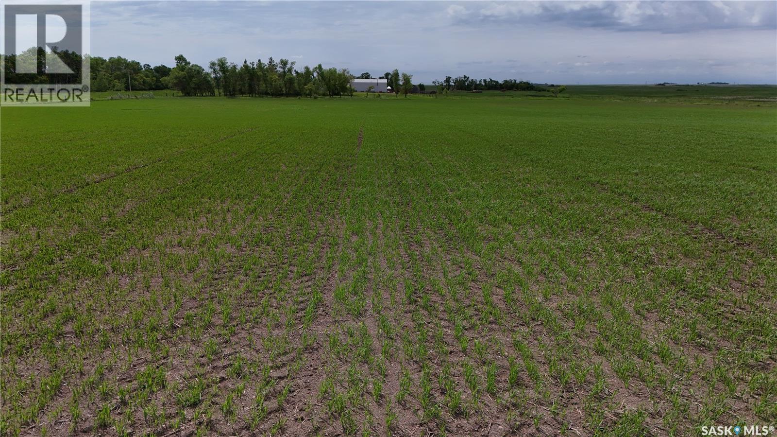 Tyvan Farm, Wellington Rm No. 97, Saskatchewan  S0G 4X0 - Photo 11 - SK039291