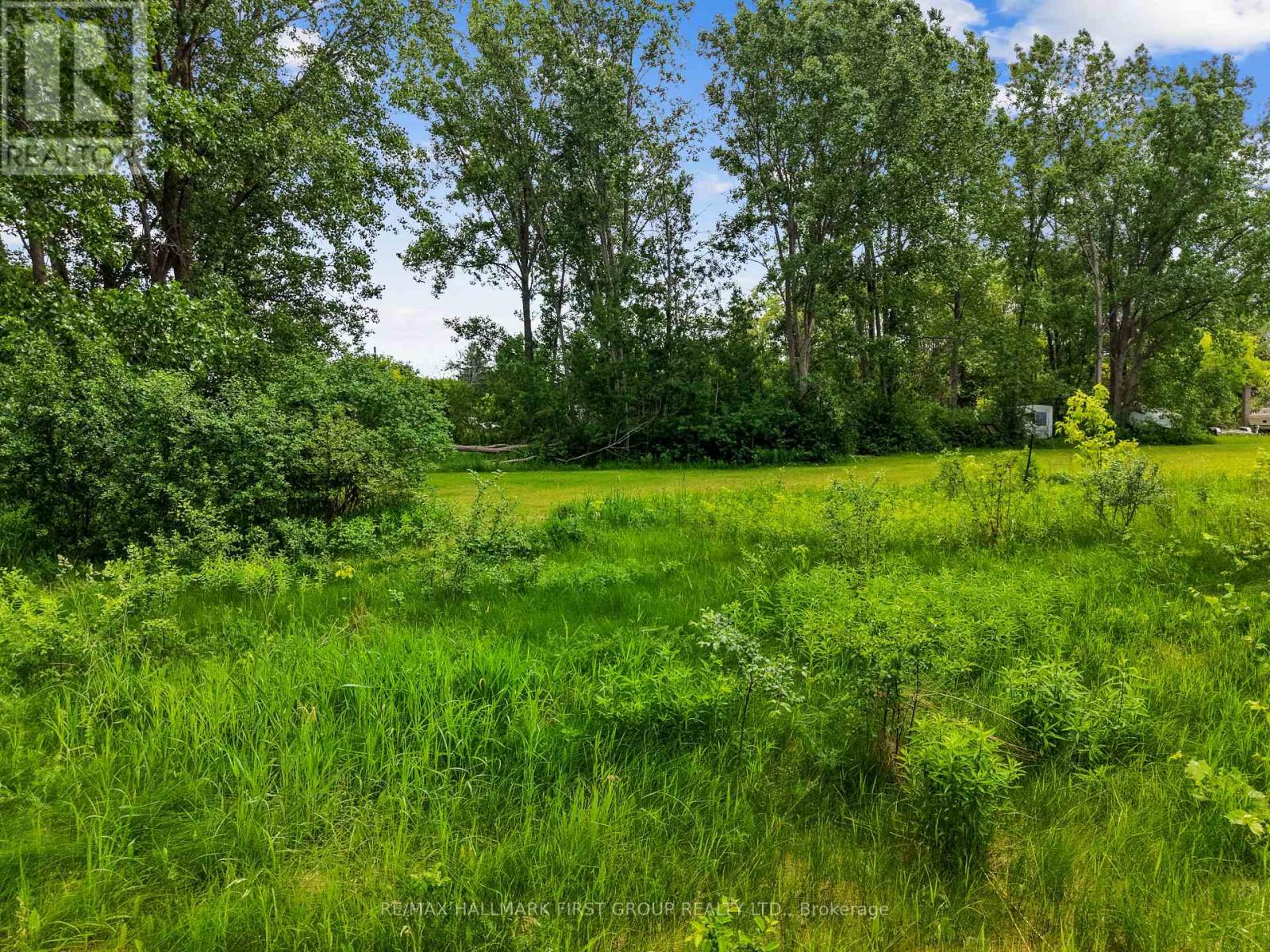1 Earl Street, Cramahe, Ontario K0K 1S0 - Photo 7 - X13445700
