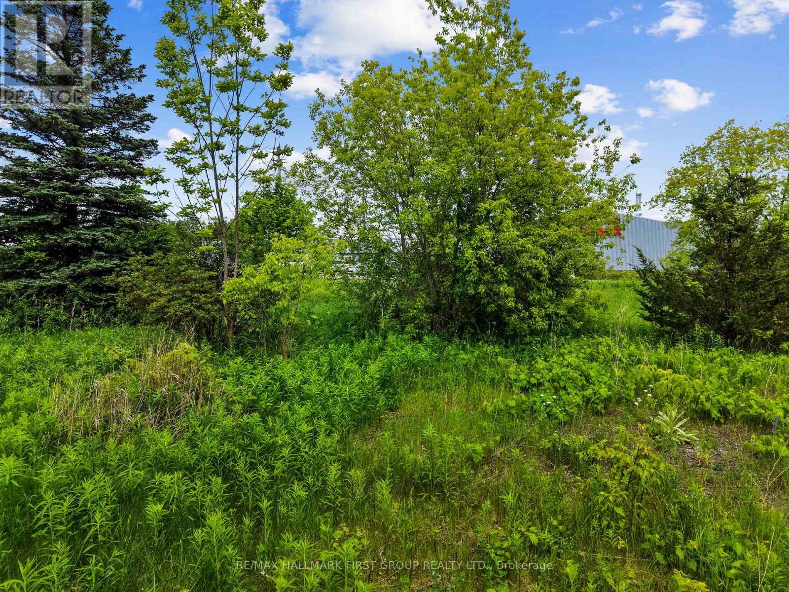 1 Earl Street, Cramahe, Ontario K0K 1S0 - Photo 9 - X13445700