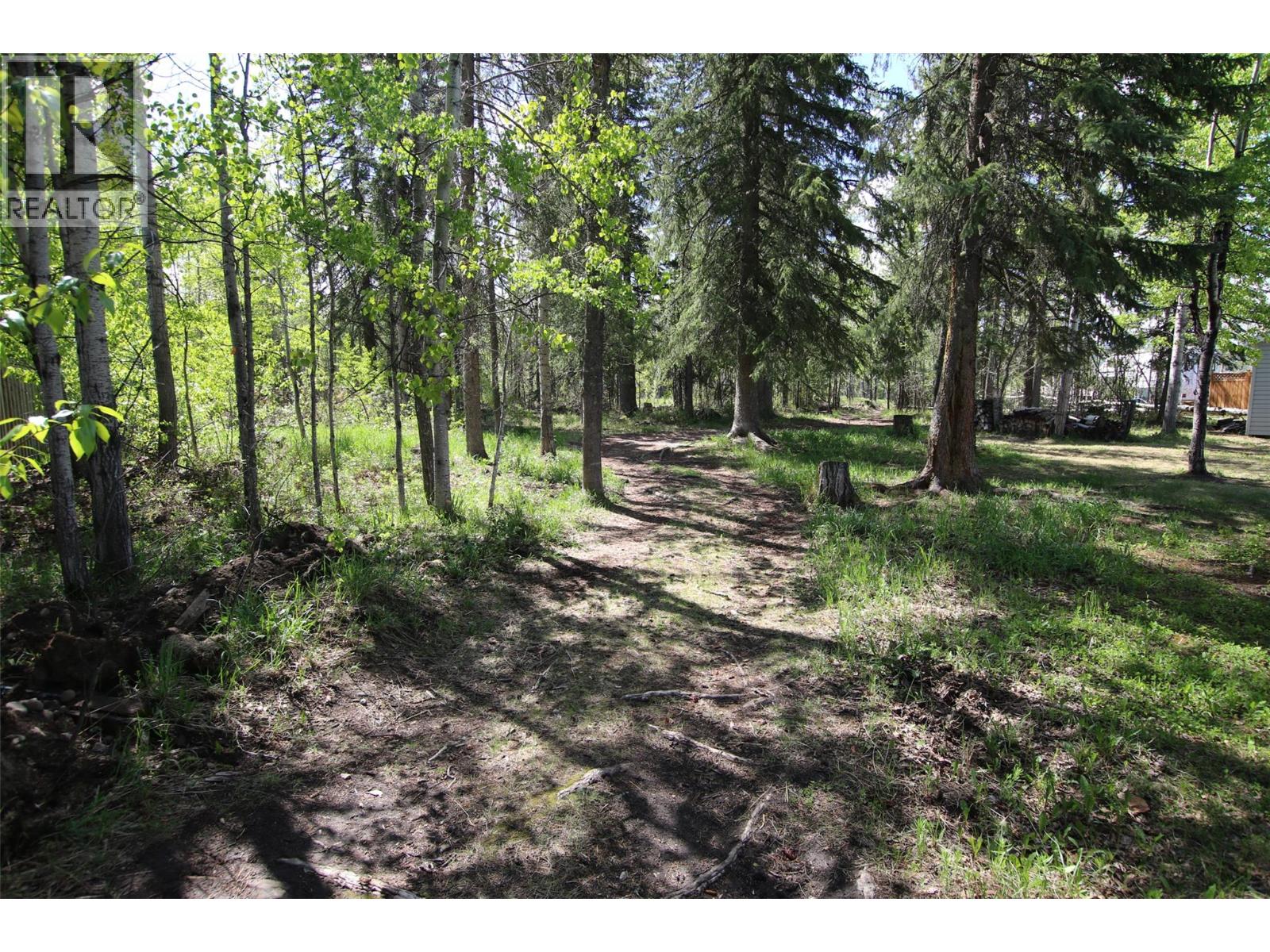 8 Myhon Place, Tumbler Ridge, British Columbia  V0C 2W0 - Photo 6 - 10391343