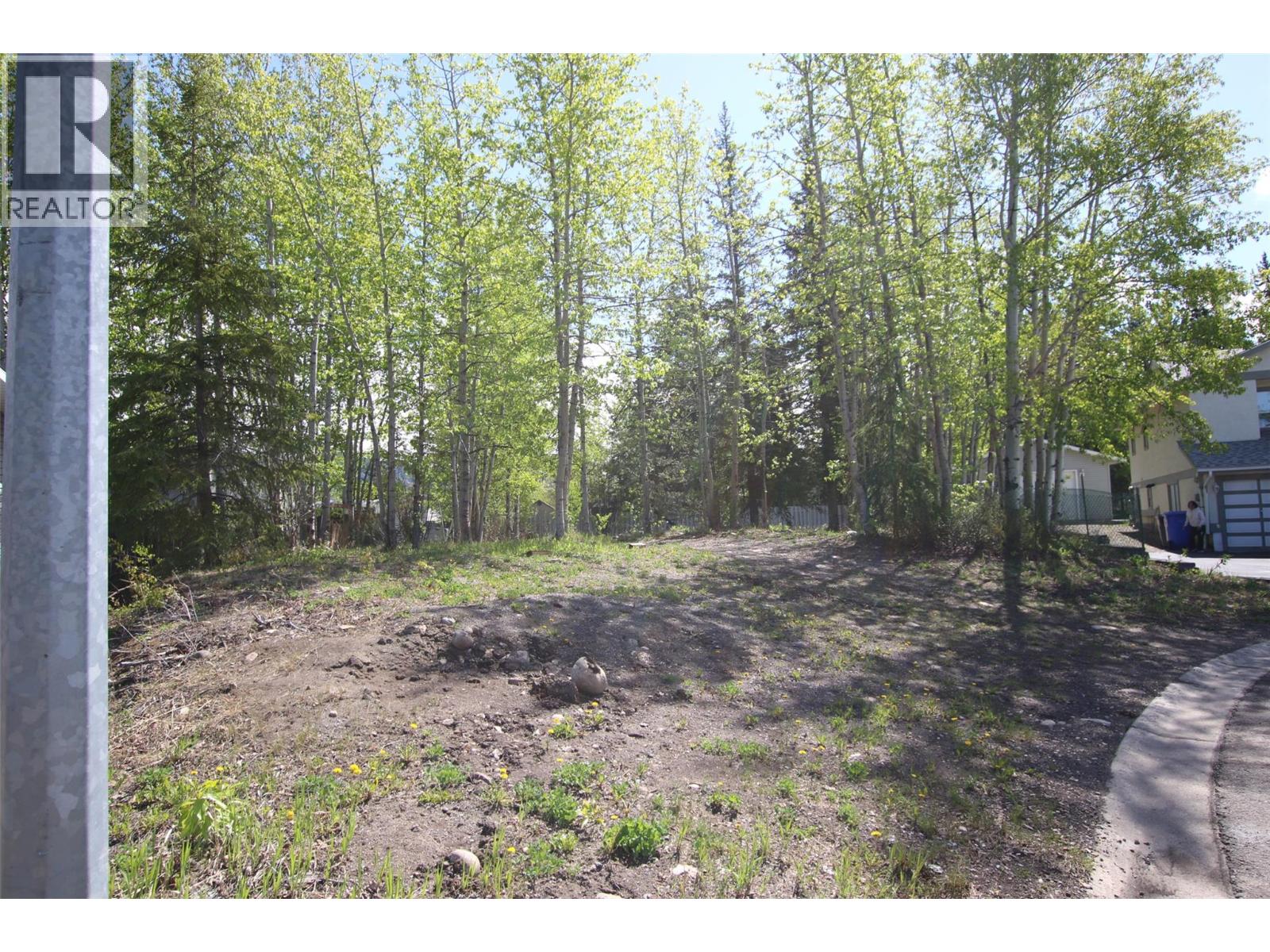 8 Myhon Place, Tumbler Ridge, British Columbia  V0C 2W0 - Photo 5 - 10391343