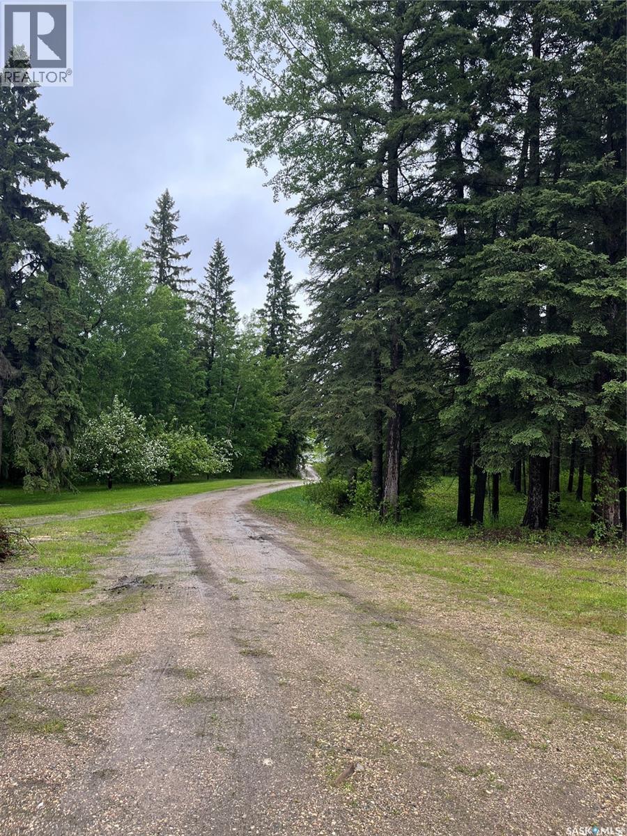 5 Buckingham Trail, Big River Rm No. 555, Saskatchewan S0J 0E0 - Photo 54 - SK039404