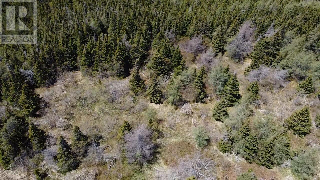 182-188 Swansea Road, Victoria, Newfoundland & Labrador  A0A 4G0 - Photo 3 - 1295386