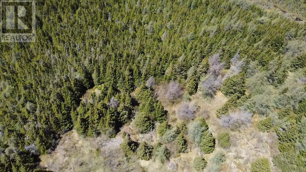 182-188 Swansea Road, Victoria, Newfoundland & Labrador  A0A 4G0 - Photo 5 - 1295386