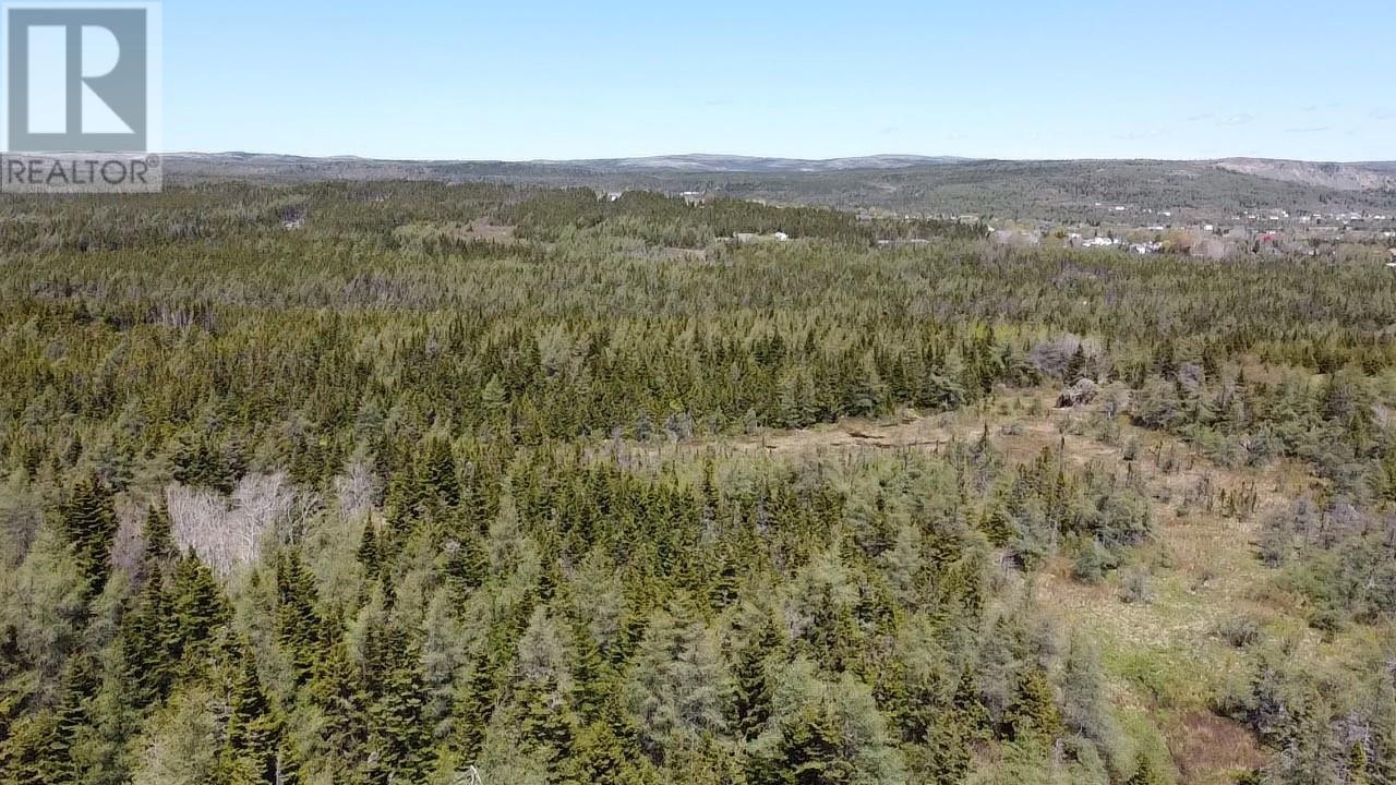 182-188 Swansea Road, Victoria, Newfoundland & Labrador  A0A 4G0 - Photo 4 - 1295386