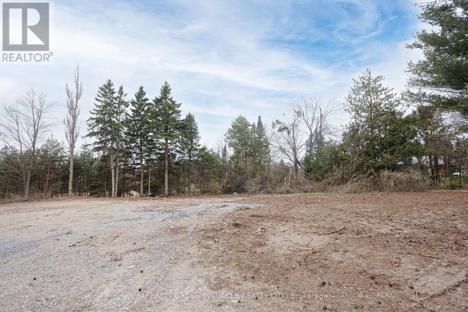 100 Reid Street, Kawartha Lakes, Ontario  K0M 1A0 - Photo 39 - X13446242