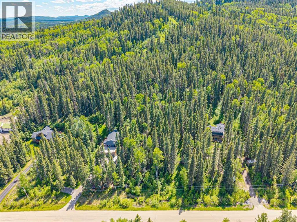 229 Mountain Lion Drive, Bragg Creek, Alberta  T0L 0K0 - Photo 21 - A2319927