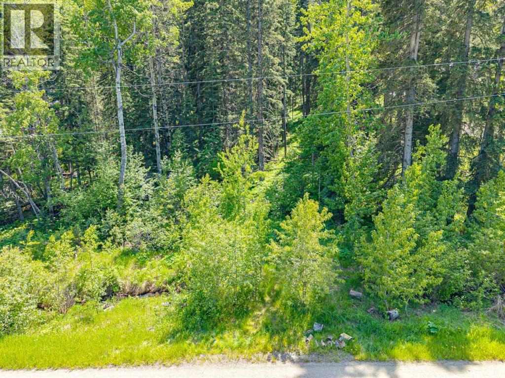 229 Mountain Lion Drive, Bragg Creek, Alberta  T0L 0K0 - Photo 25 - A2319927