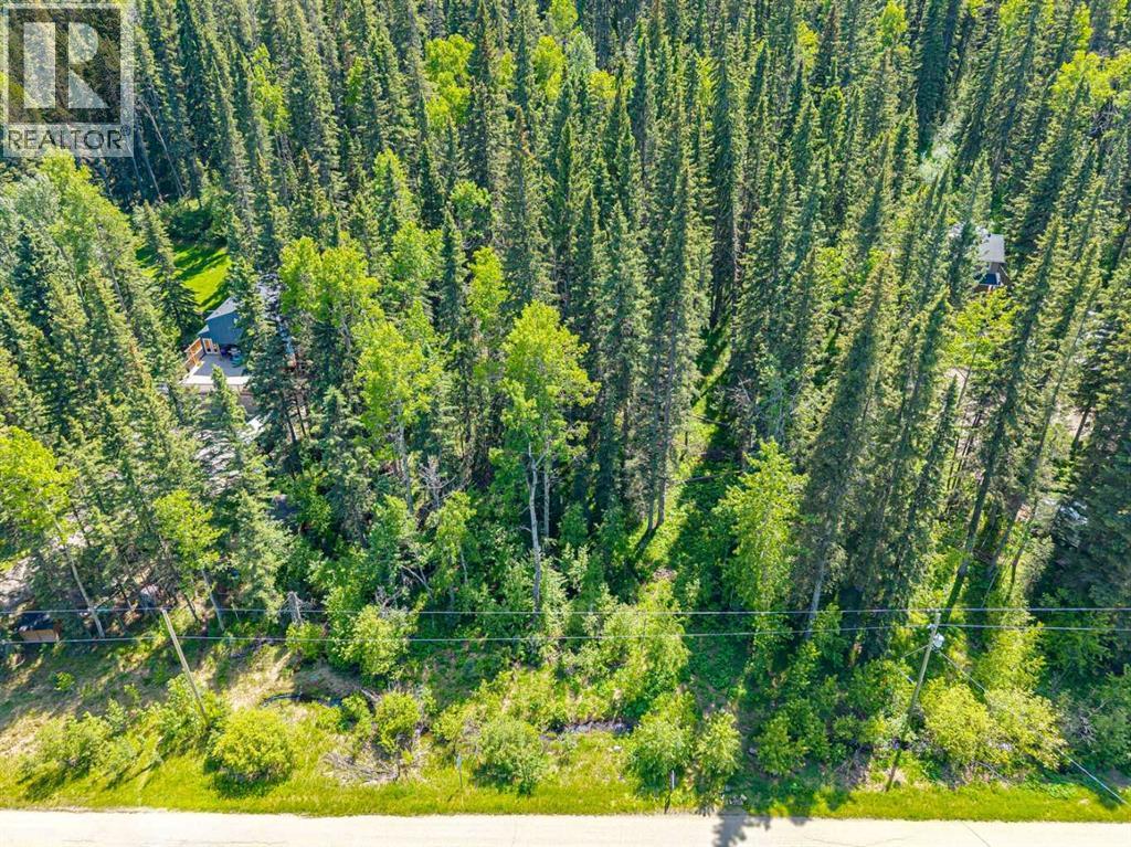 229 Mountain Lion Drive, Bragg Creek, Alberta  T0L 0K0 - Photo 23 - A2319927