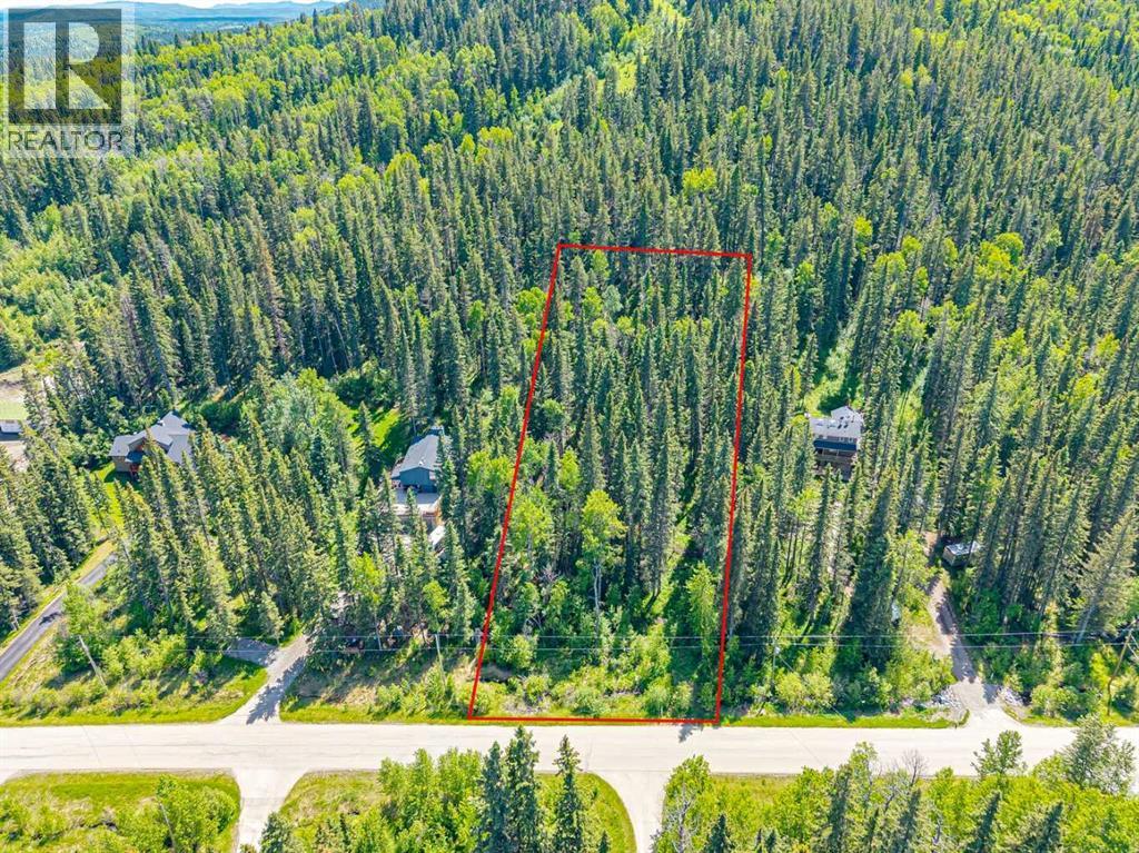 229 Mountain Lion Drive, Bragg Creek, Alberta  T0L 0K0 - Photo 22 - A2319927