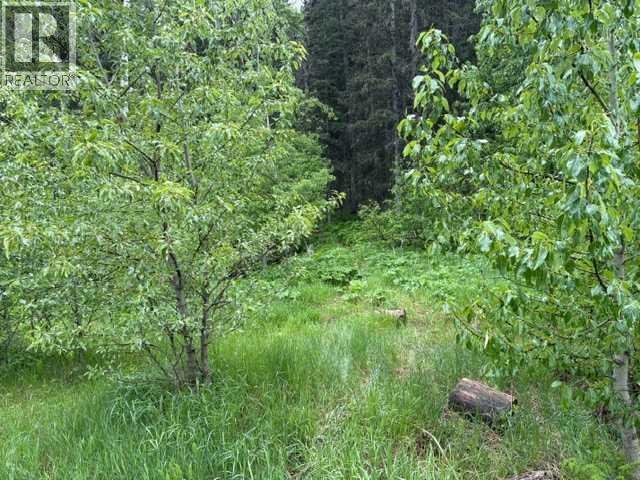 229 Mountain Lion Drive, Bragg Creek, Alberta  T0L 0K0 - Photo 1 - A2319927