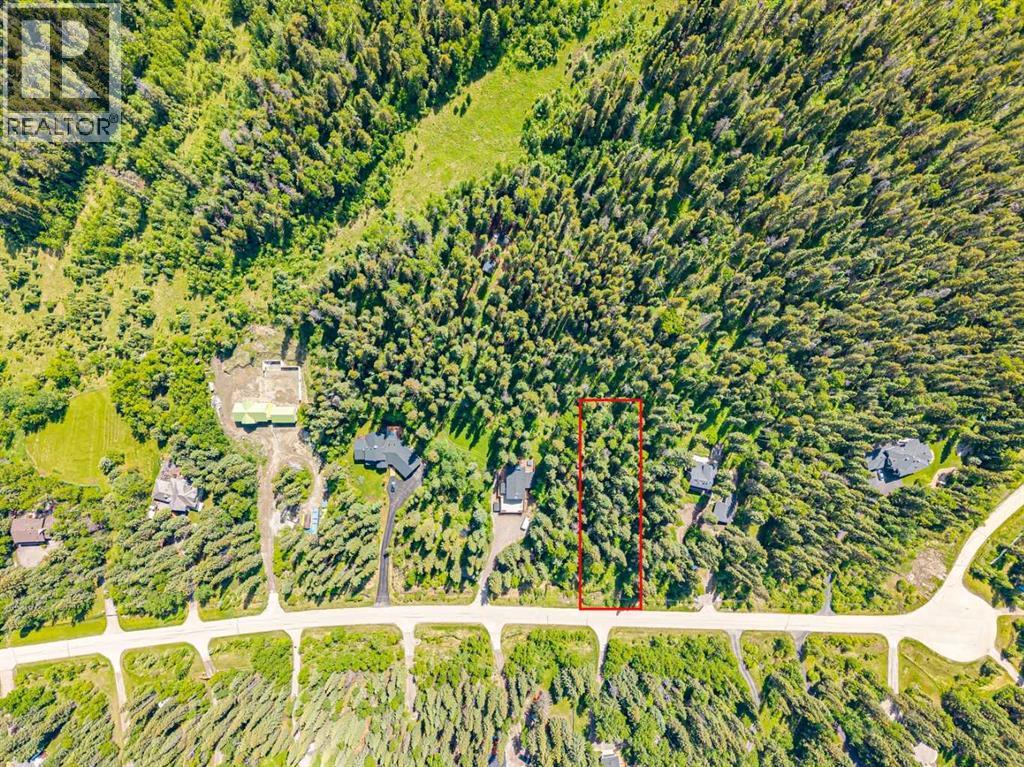 229 Mountain Lion Drive, Bragg Creek, Alberta  T0L 0K0 - Photo 14 - A2319927