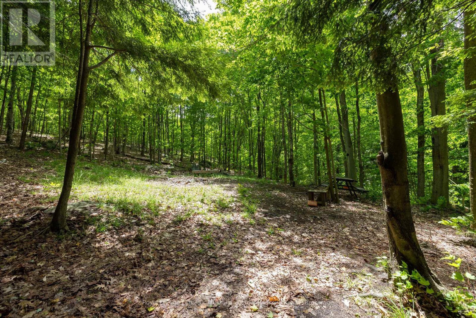 1037 Foreman Road, Muskoka Lakes (Medora), Ontario  P0B 1J0 - Photo 36 - X13445972