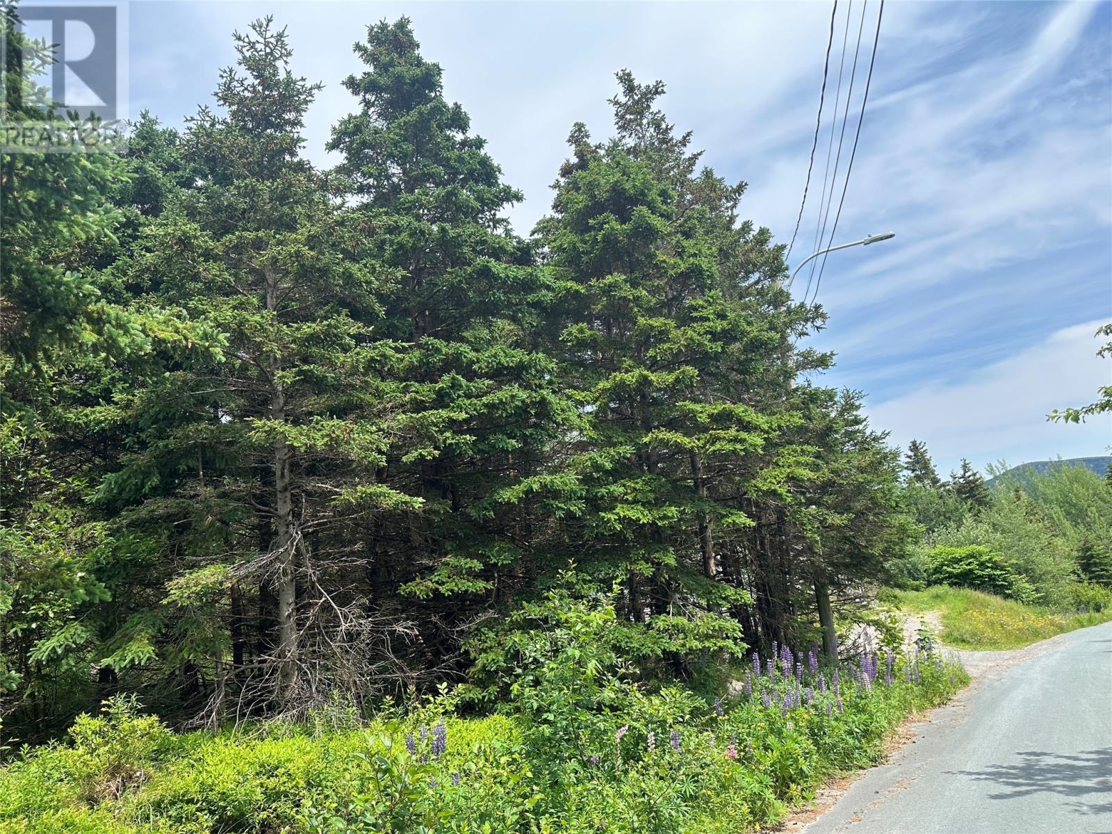16 Ridge Road, Holyrood, Newfoundland & Labrador  A0A 2R0 - Photo 12 - 1298934