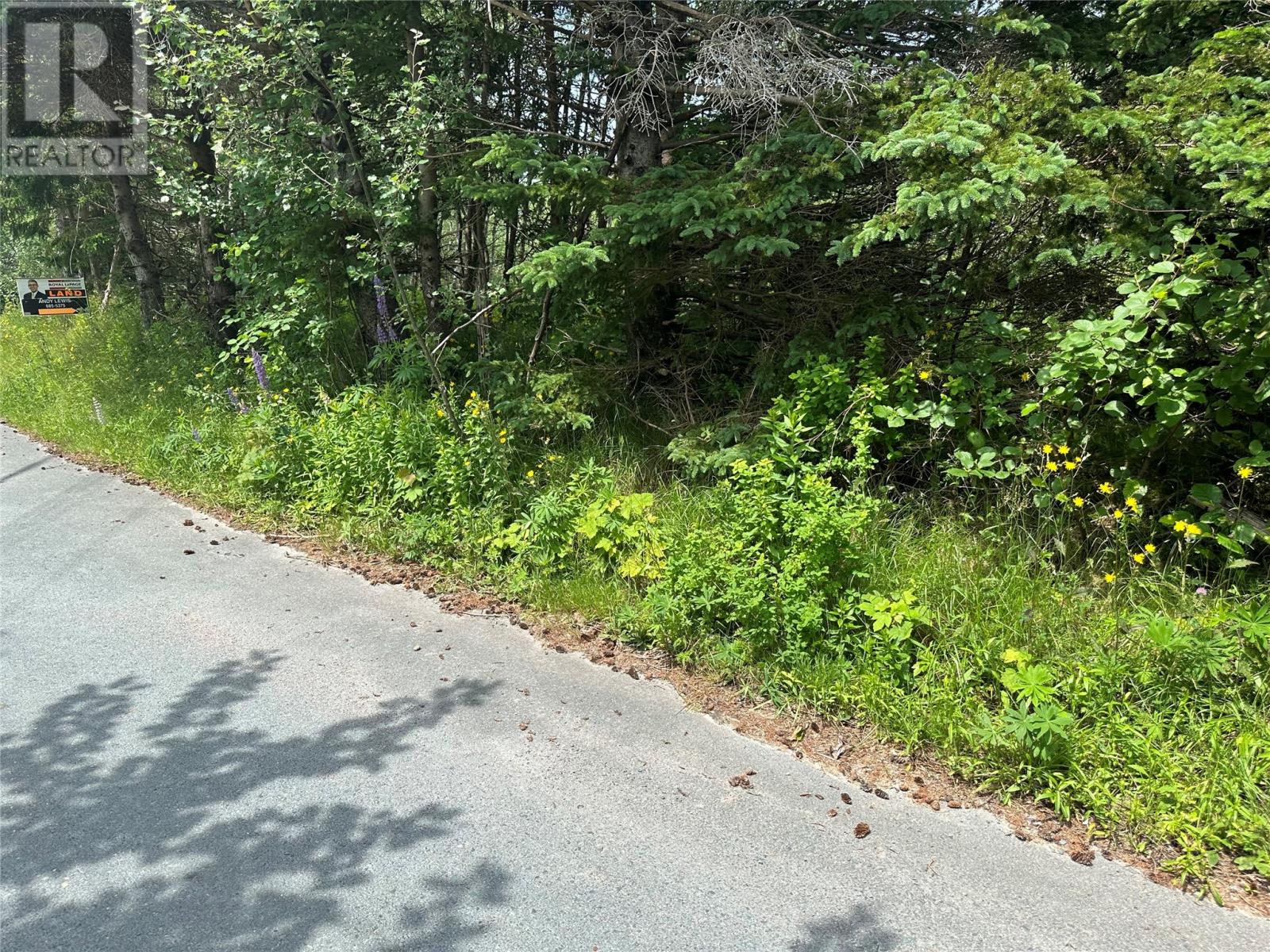 16 Ridge Road, Holyrood, Newfoundland & Labrador  A0A 2R0 - Photo 20 - 1298934