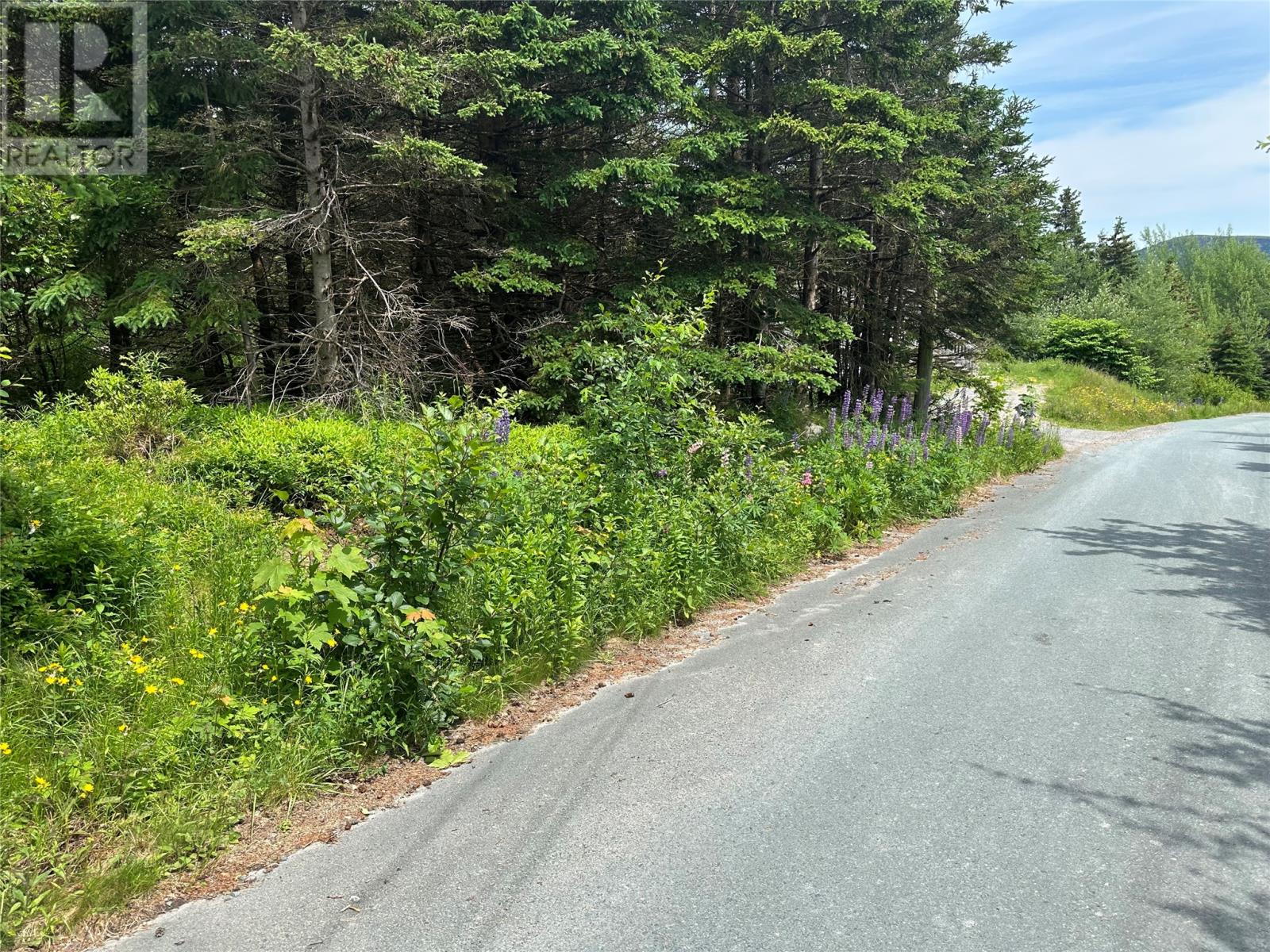16 Ridge Road, Holyrood, Newfoundland & Labrador  A0A 2R0 - Photo 21 - 1298934