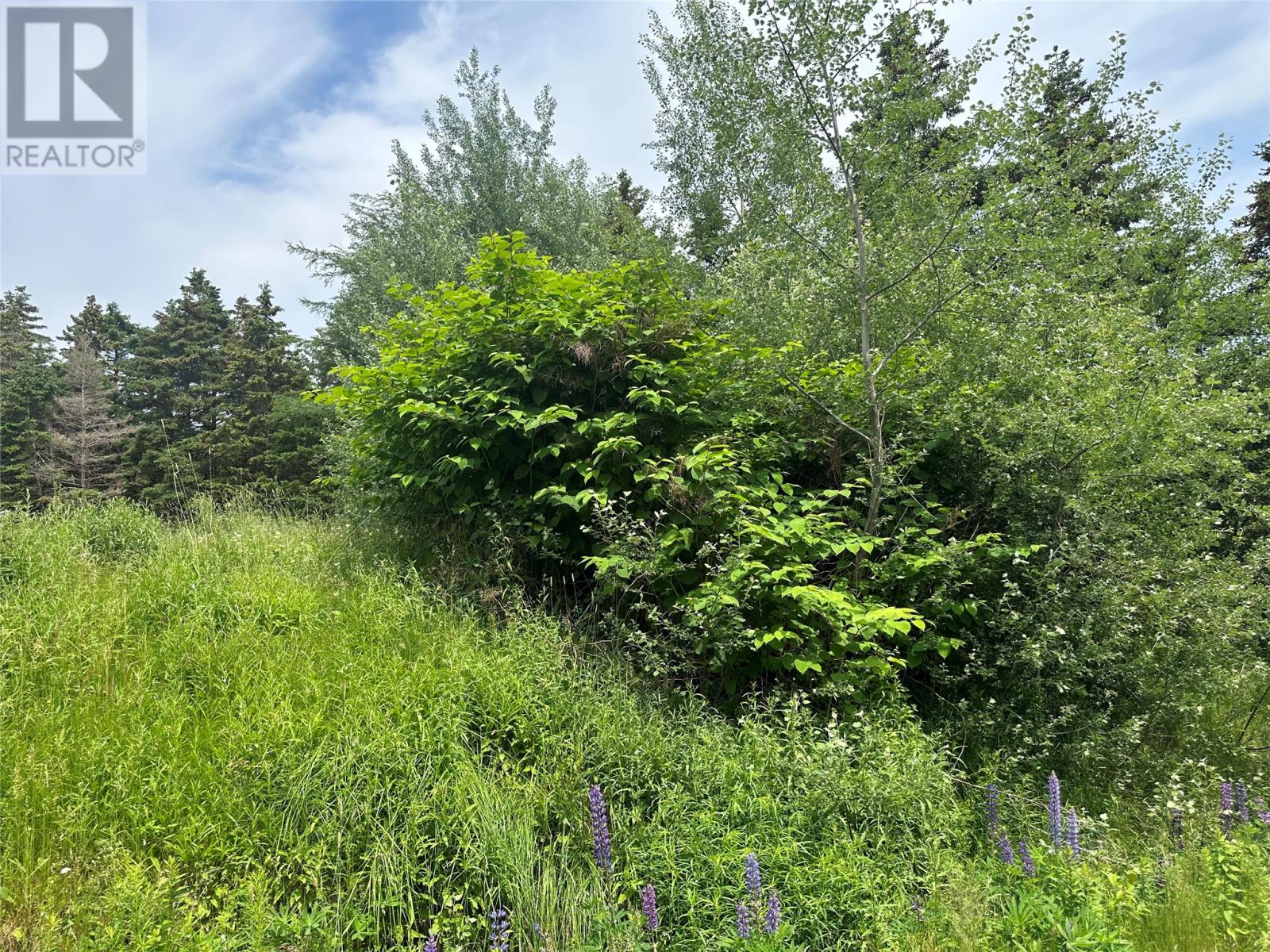 16 Ridge Road, Holyrood, Newfoundland & Labrador  A0A 2R0 - Photo 22 - 1298934
