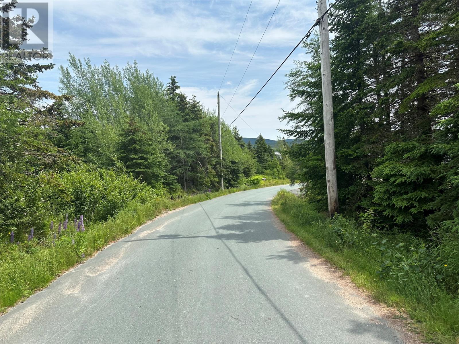 16 Ridge Road, Holyrood, Newfoundland & Labrador  A0A 2R0 - Photo 23 - 1298934