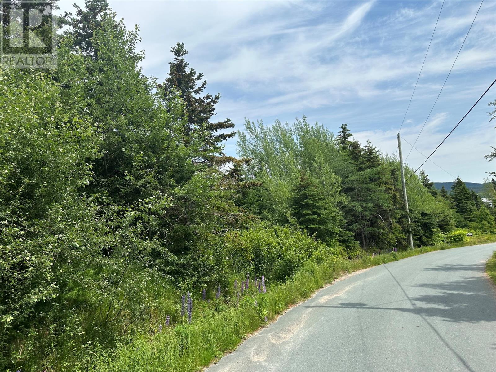 16 Ridge Road, Holyrood, Newfoundland & Labrador  A0A 2R0 - Photo 24 - 1298934