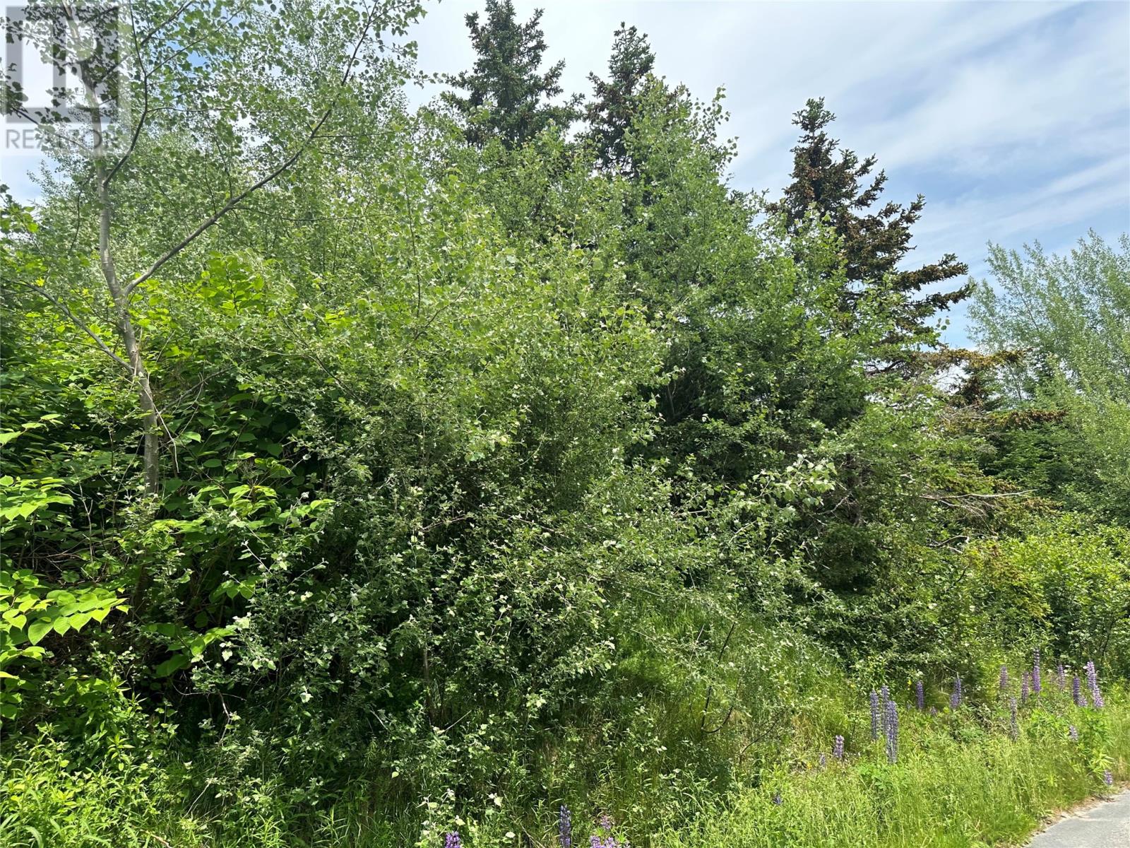 16 Ridge Road, Holyrood, Newfoundland & Labrador  A0A 2R0 - Photo 25 - 1298934