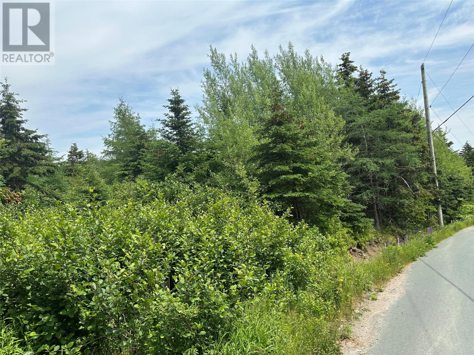 16 Ridge Road, Holyrood, Newfoundland & Labrador  A0A 2R0 - Photo 27 - 1298934