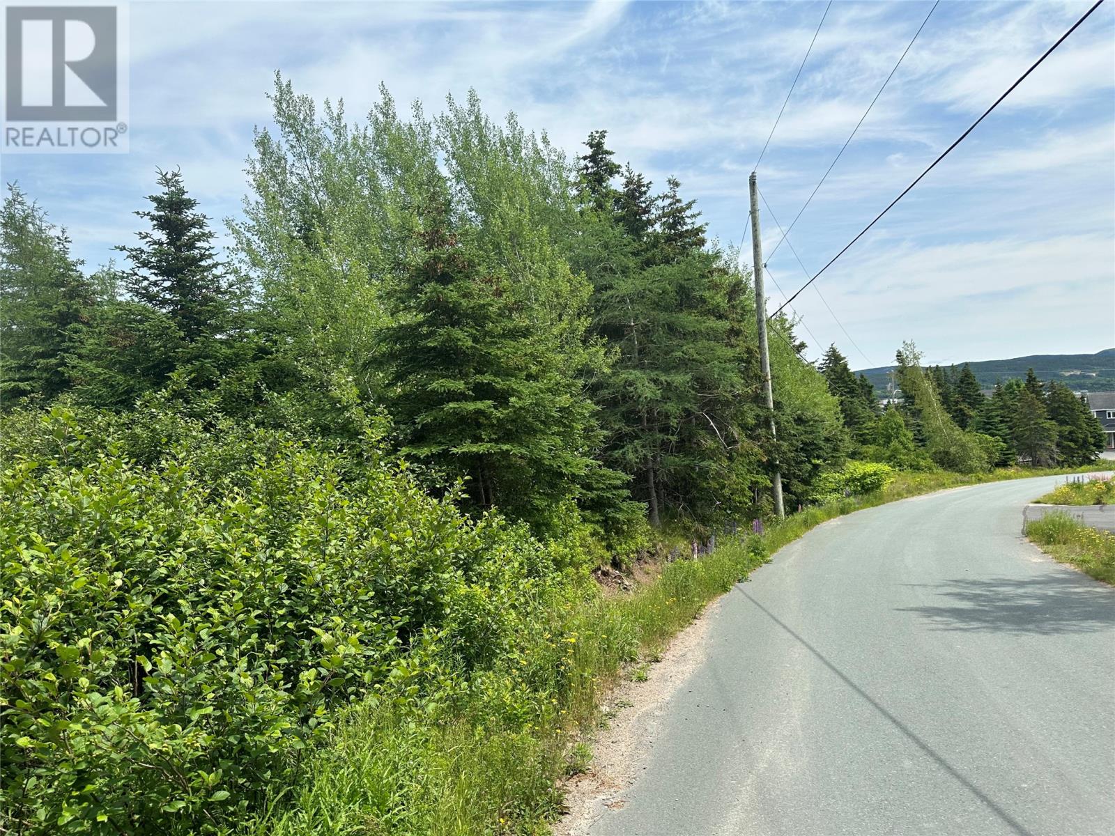 16 Ridge Road, Holyrood, Newfoundland & Labrador  A0A 2R0 - Photo 28 - 1298934