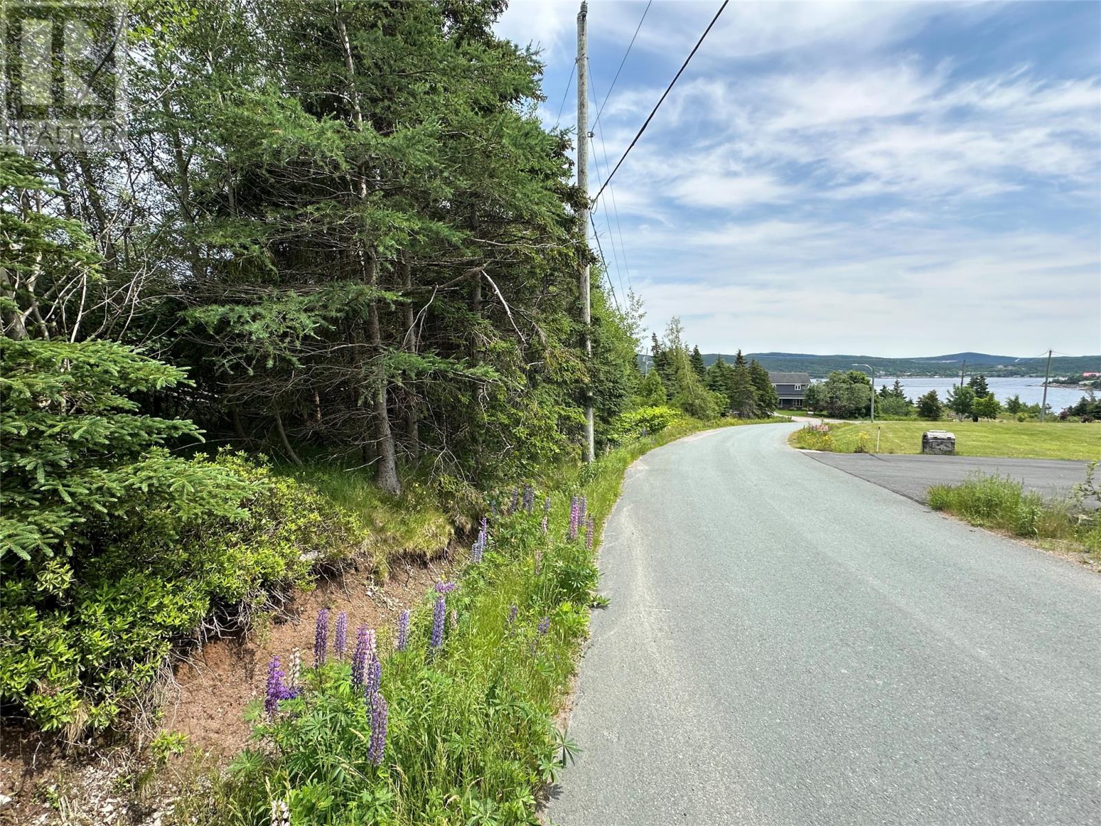 16 Ridge Road, Holyrood, Newfoundland & Labrador  A0A 2R0 - Photo 36 - 1298934