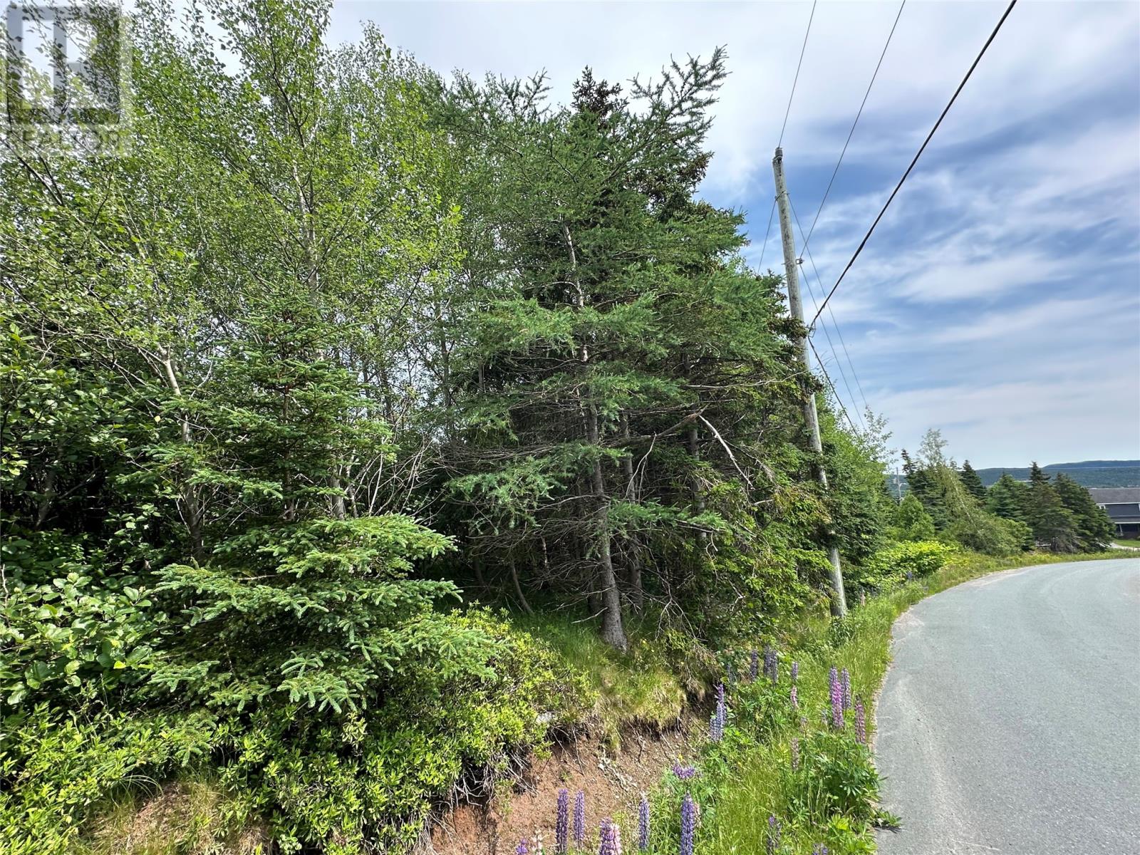 16 Ridge Road, Holyrood, Newfoundland & Labrador  A0A 2R0 - Photo 39 - 1298934
