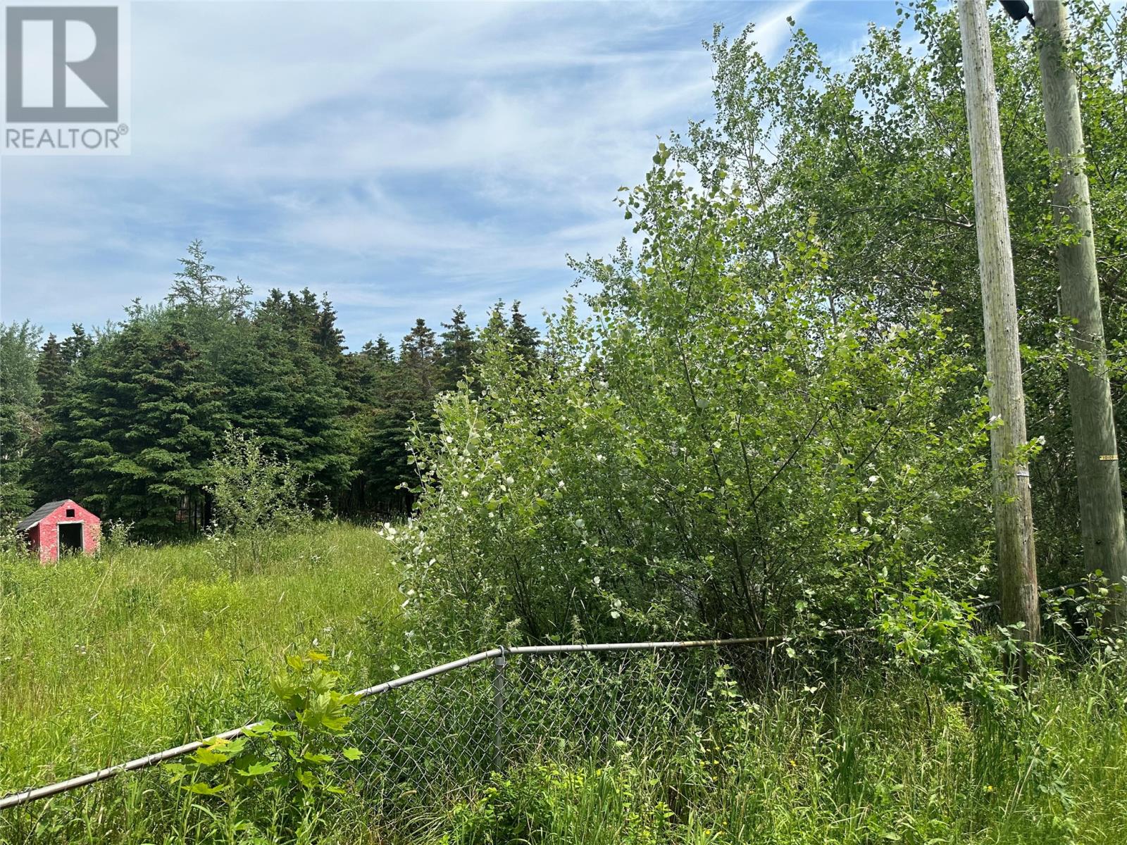 16 Ridge Road, Holyrood, Newfoundland & Labrador  A0A 2R0 - Photo 4 - 1298934