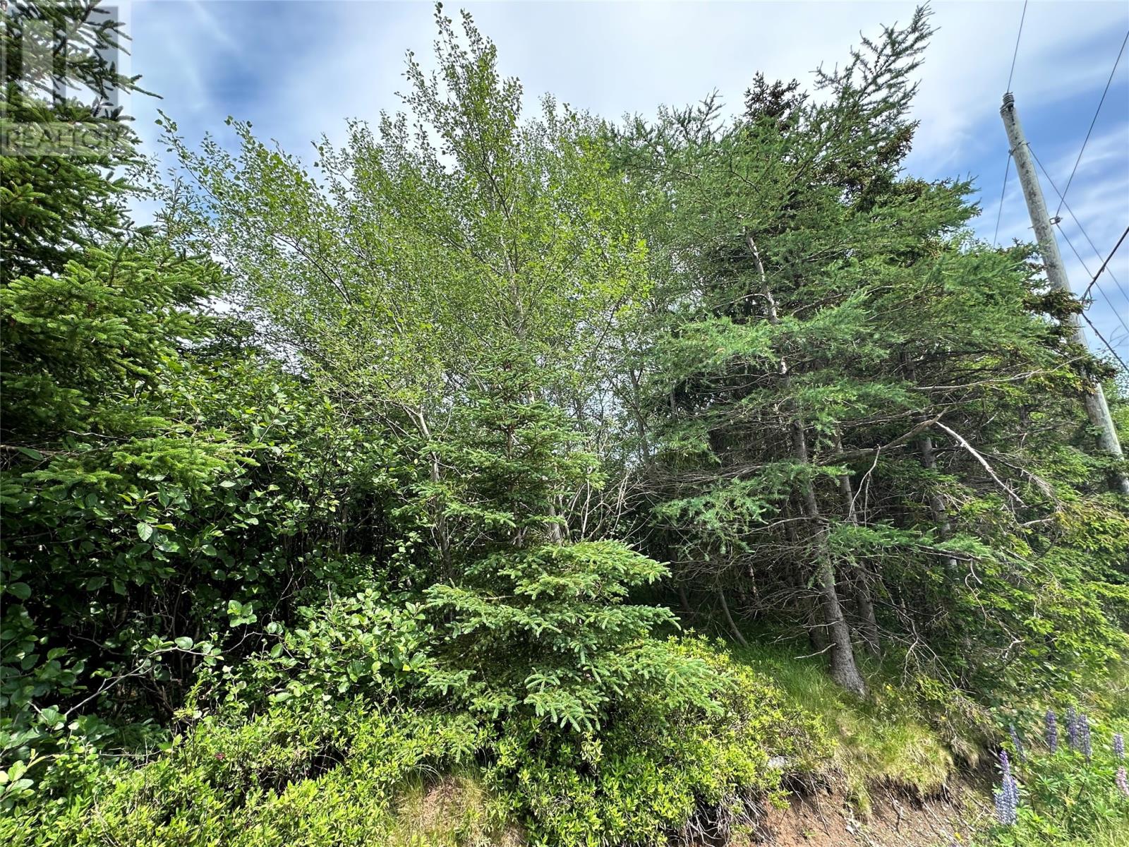 16 Ridge Road, Holyrood, Newfoundland & Labrador  A0A 2R0 - Photo 40 - 1298934