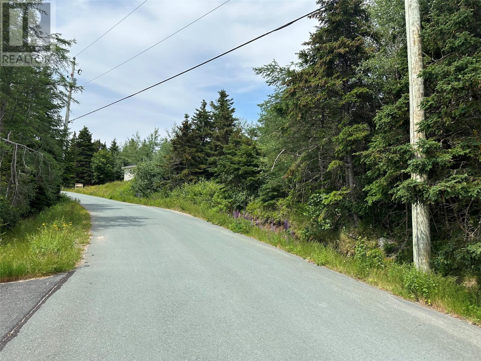 16 Ridge Road, Holyrood, Newfoundland & Labrador  A0A 2R0 - Photo 41 - 1298934