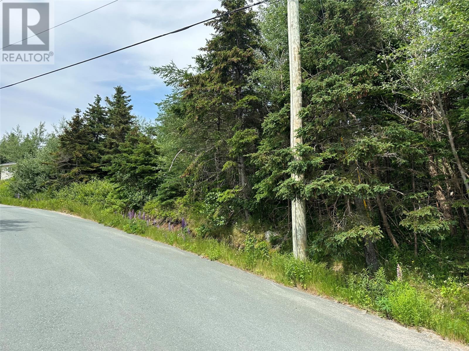 16 Ridge Road, Holyrood, Newfoundland & Labrador  A0A 2R0 - Photo 43 - 1298934